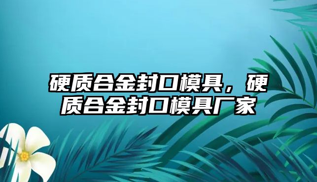 硬質(zhì)合金封口模具，硬質(zhì)合金封口模具廠家