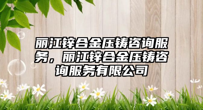 麗江鋅合金壓鑄咨詢服務，麗江鋅合金壓鑄咨詢服務有限公司