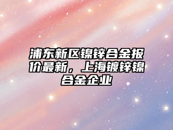 浦東新區(qū)鎳鋅合金報價最新，上海鍍鋅鎳合金企業(yè)