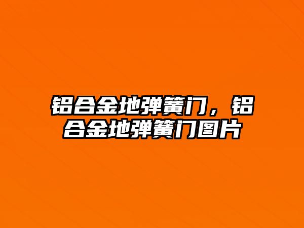 鋁合金地彈簧門，鋁合金地彈簧門圖片