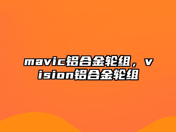 mavic鋁合金輪組，vision鋁合金輪組