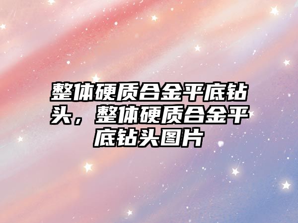 整體硬質(zhì)合金平底鉆頭，整體硬質(zhì)合金平底鉆頭圖片