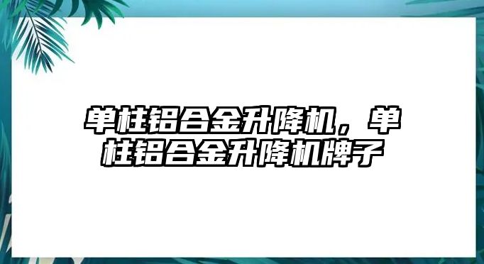 單柱鋁合金升降機(jī)，單柱鋁合金升降機(jī)牌子