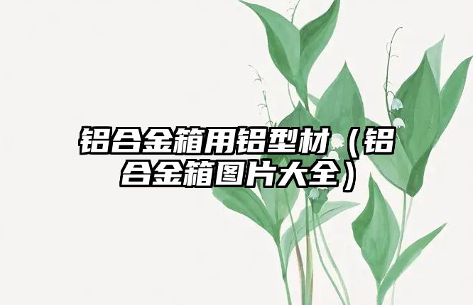 鋁合金箱用鋁型材（鋁合金箱圖片大全）