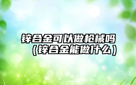 鋅合金可以做槍械嗎（鋅合金能做什么）