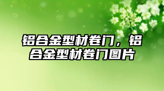 鋁合金型材卷門，鋁合金型材卷門圖片