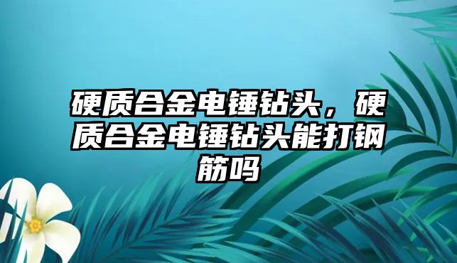 硬質(zhì)合金電錘鉆頭，硬質(zhì)合金電錘鉆頭能打鋼筋嗎