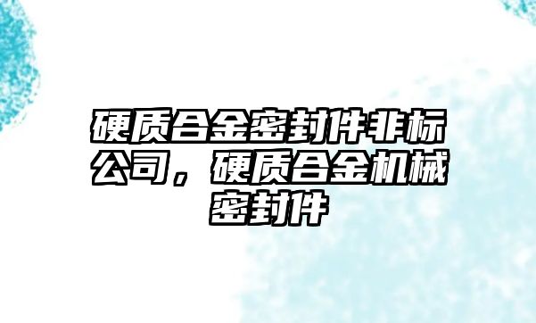 硬質(zhì)合金密封件非標(biāo)公司，硬質(zhì)合金機(jī)械密封件