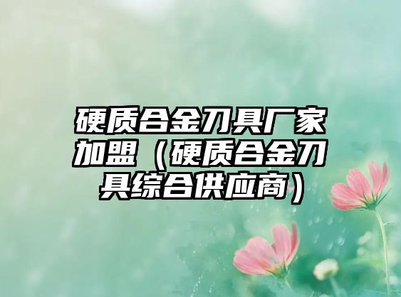 硬質(zhì)合金刀具廠家加盟（硬質(zhì)合金刀具綜合供應(yīng)商）