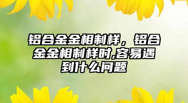 鋁合金金相制樣，鋁合金金相制樣時(shí),容易遇到什么問題