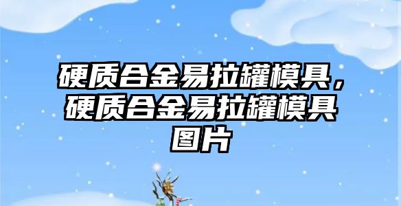 硬質(zhì)合金易拉罐模具，硬質(zhì)合金易拉罐模具圖片