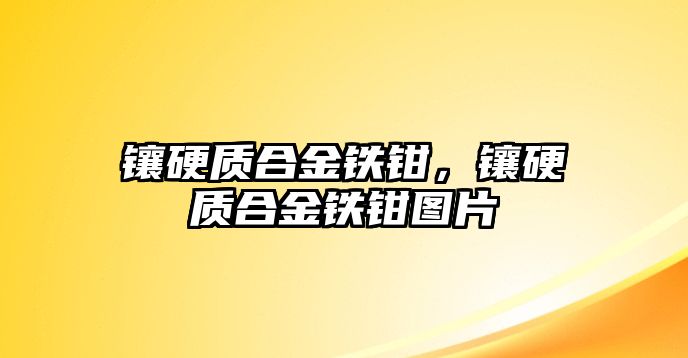 鑲硬質(zhì)合金鐵鉗，鑲硬質(zhì)合金鐵鉗圖片