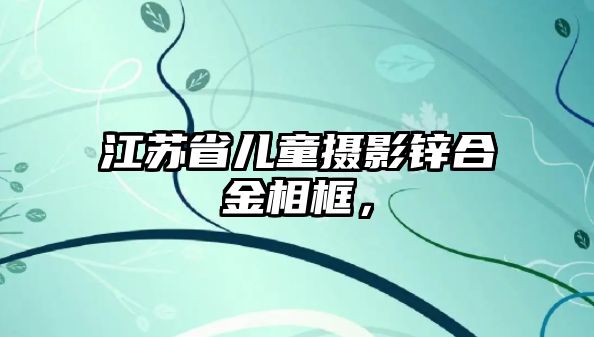 江蘇省兒童攝影鋅合金相框，