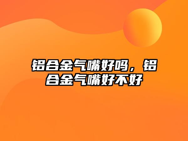 鋁合金氣嘴好嗎，鋁合金氣嘴好不好