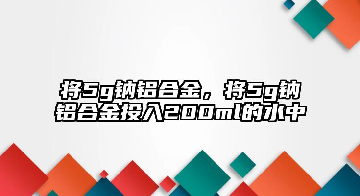 將5g鈉鋁合金，將5g鈉鋁合金投入200ml的水中