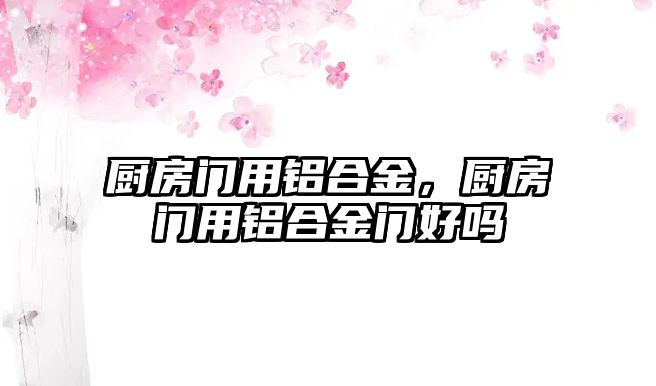 廚房門用鋁合金，廚房門用鋁合金門好嗎