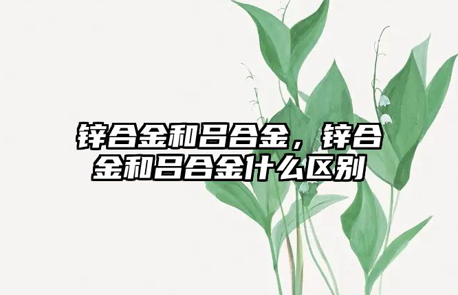 鋅合金和呂合金，鋅合金和呂合金什么區(qū)別