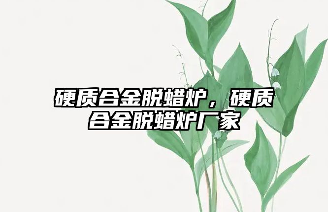 硬質(zhì)合金脫蠟爐，硬質(zhì)合金脫蠟爐廠家