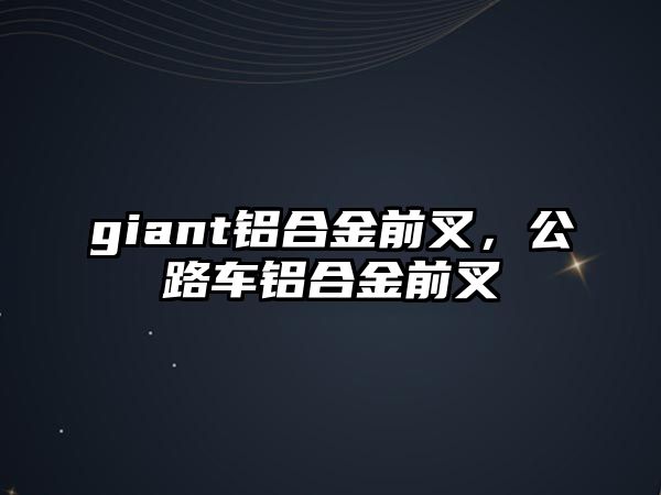 giant鋁合金前叉，公路車鋁合金前叉