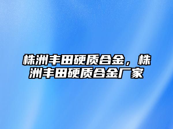 株洲豐田硬質(zhì)合金，株洲豐田硬質(zhì)合金廠家