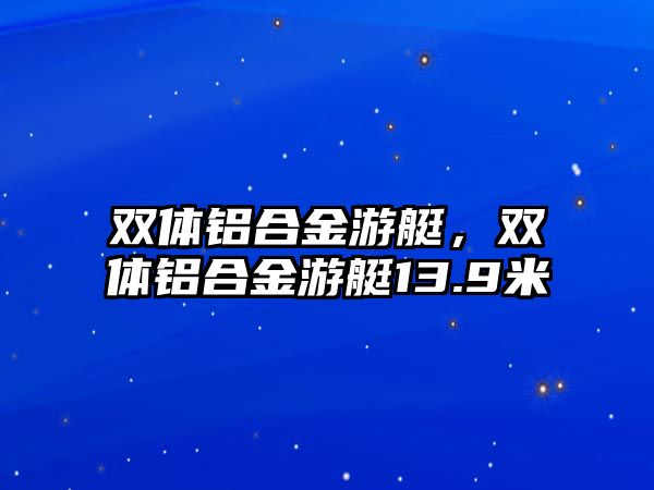 雙體鋁合金游艇，雙體鋁合金游艇13.9米