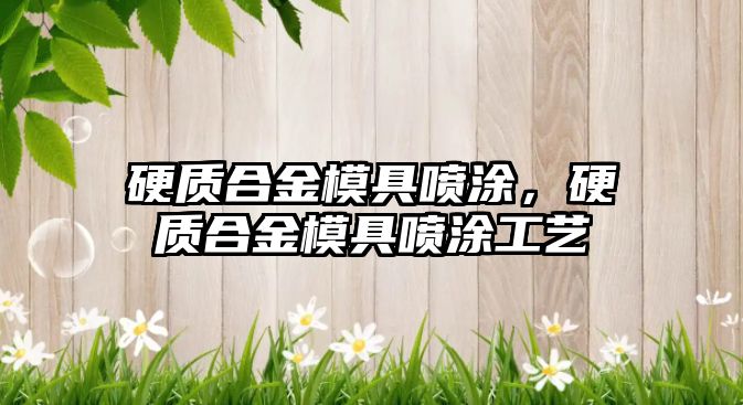 硬質(zhì)合金模具噴涂，硬質(zhì)合金模具噴涂工藝