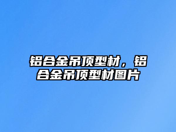 鋁合金吊頂型材，鋁合金吊頂型材圖片