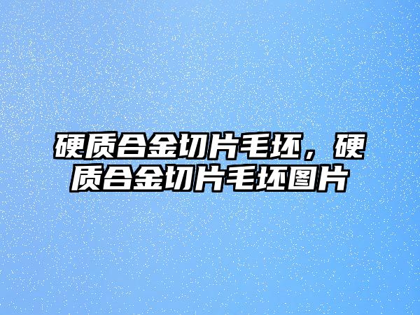 硬質(zhì)合金切片毛坯，硬質(zhì)合金切片毛坯圖片