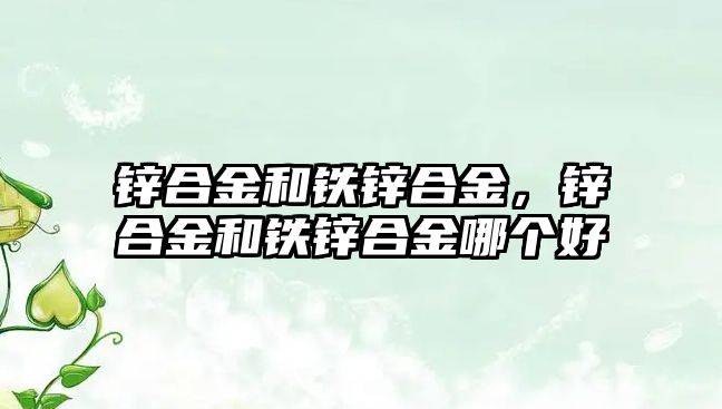 鋅合金和鐵鋅合金，鋅合金和鐵鋅合金哪個(gè)好