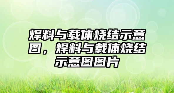 焊料與載體燒結(jié)示意圖，焊料與載體燒結(jié)示意圖圖片