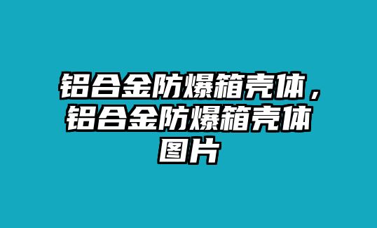 鋁合金防爆箱殼體，鋁合金防爆箱殼體圖片