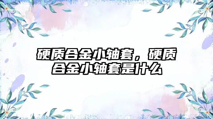 硬質(zhì)合金小軸套，硬質(zhì)合金小軸套是什么