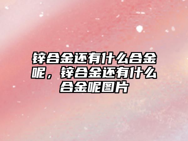 鋅合金還有什么合金呢，鋅合金還有什么合金呢圖片