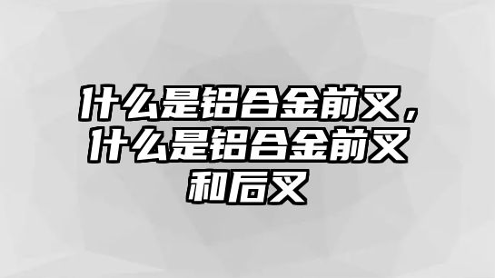 什么是鋁合金前叉，什么是鋁合金前叉和后叉