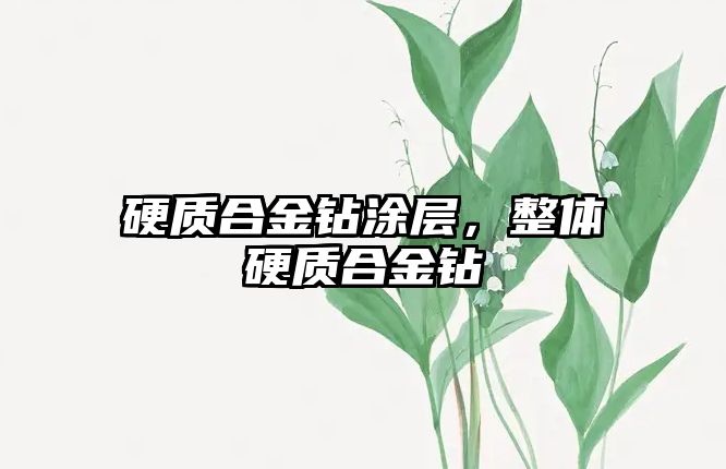 硬質(zhì)合金鉆涂層，整體硬質(zhì)合金鉆