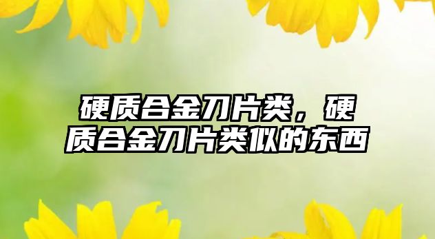 硬質(zhì)合金刀片類(lèi)，硬質(zhì)合金刀片類(lèi)似的東西