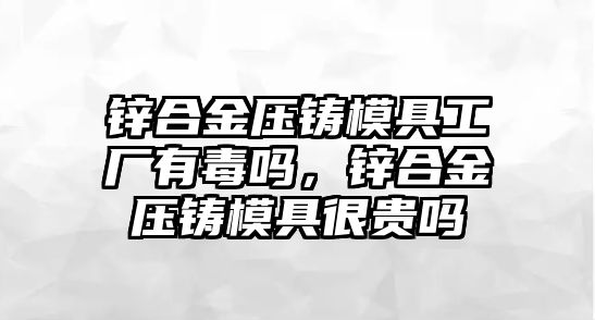 鋅合金壓鑄模具工廠有毒嗎，鋅合金壓鑄模具很貴嗎