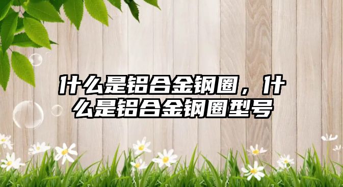 什么是鋁合金鋼圈，什么是鋁合金鋼圈型號(hào)