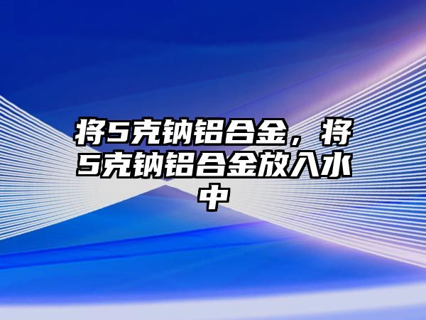 將5克鈉鋁合金，將5克鈉鋁合金放入水中