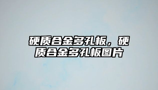 硬質合金多孔板，硬質合金多孔板圖片