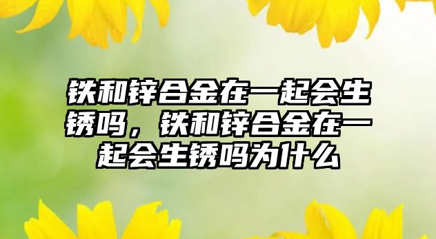 鐵和鋅合金在一起會(huì)生銹嗎，鐵和鋅合金在一起會(huì)生銹嗎為什么