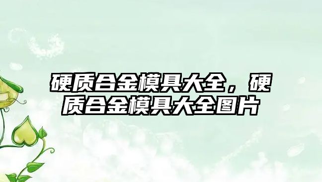 硬質(zhì)合金模具大全，硬質(zhì)合金模具大全圖片