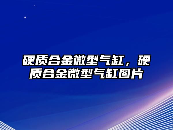 硬質(zhì)合金微型氣缸，硬質(zhì)合金微型氣缸圖片