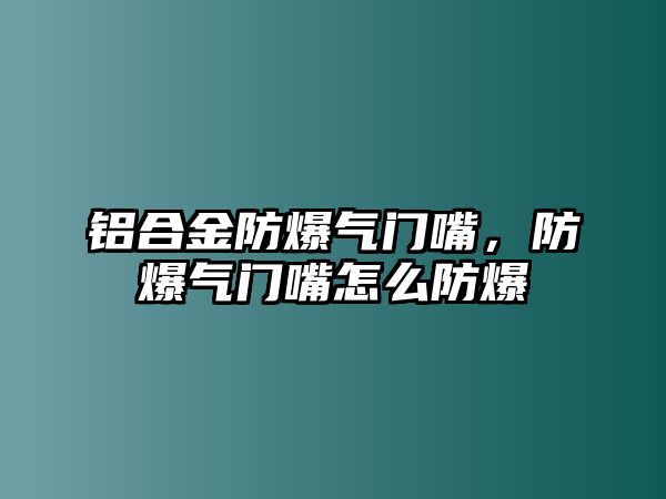 鋁合金防爆氣門嘴，防爆氣門嘴怎么防爆