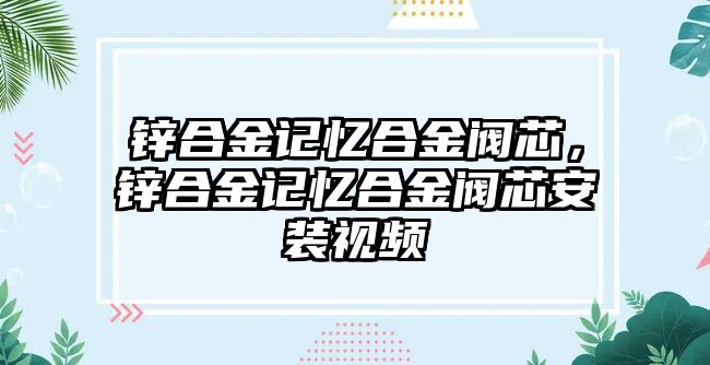 鋅合金記憶合金閥芯，鋅合金記憶合金閥芯安裝視頻