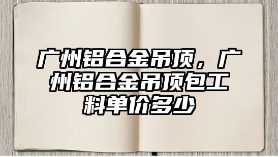 廣州鋁合金吊頂，廣州鋁合金吊頂包工料單價(jià)多少