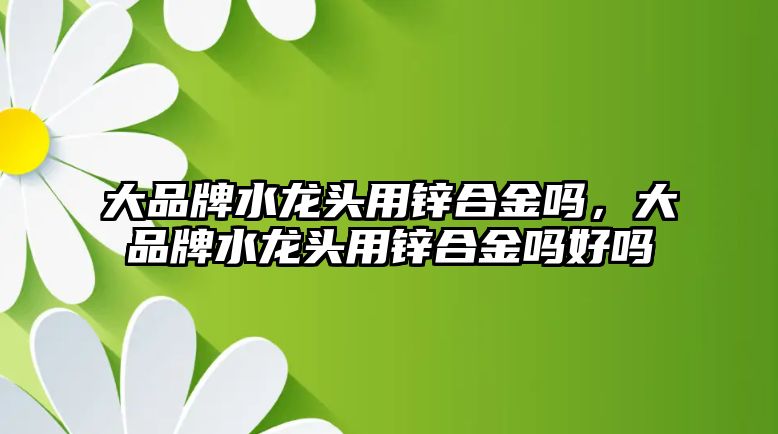 大品牌水龍頭用鋅合金嗎，大品牌水龍頭用鋅合金嗎好嗎