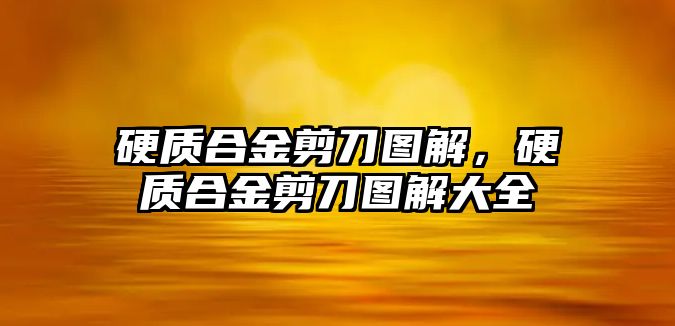 硬質(zhì)合金剪刀圖解，硬質(zhì)合金剪刀圖解大全