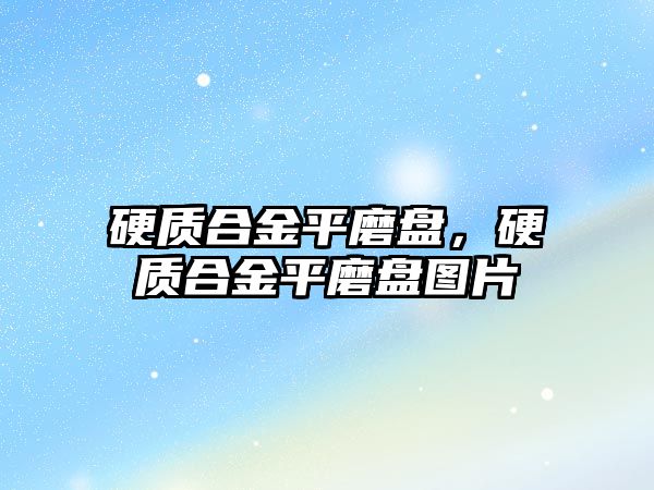 硬質合金平磨盤，硬質合金平磨盤圖片