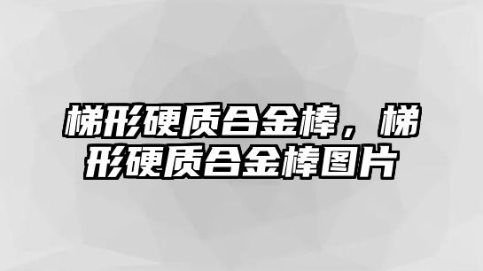 梯形硬質(zhì)合金棒，梯形硬質(zhì)合金棒圖片